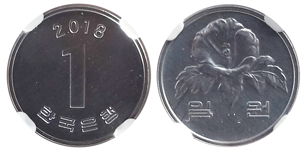 추가 이미지 5